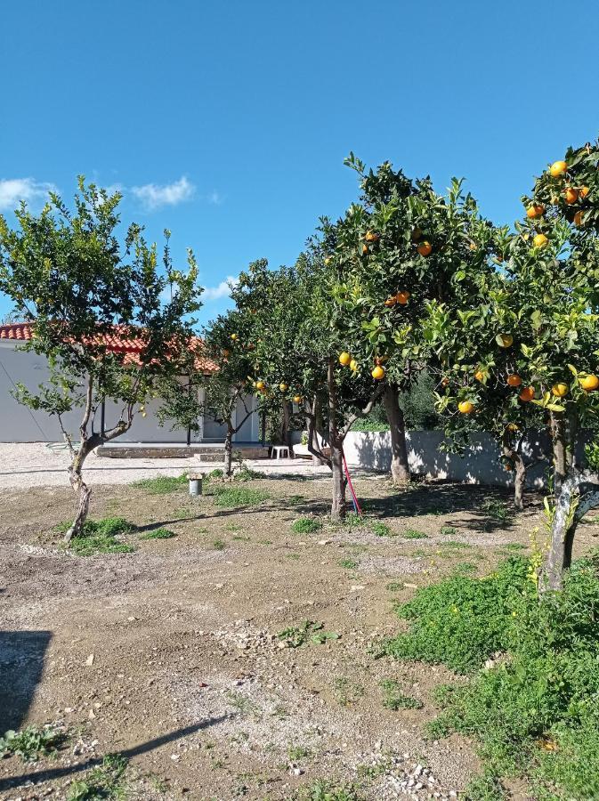Avocado House Villa Finikounta Exteriör bild