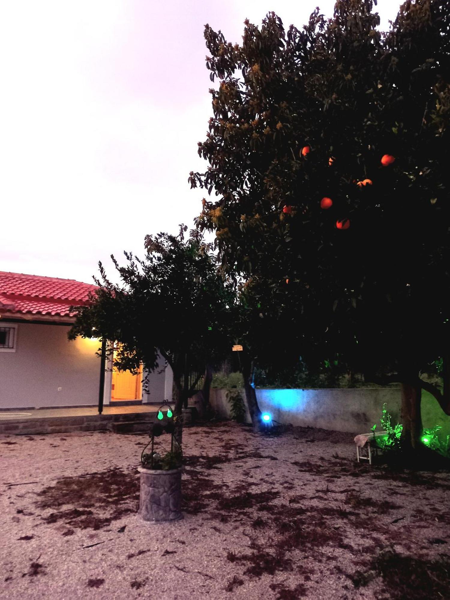 Avocado House Villa Finikounta Exteriör bild