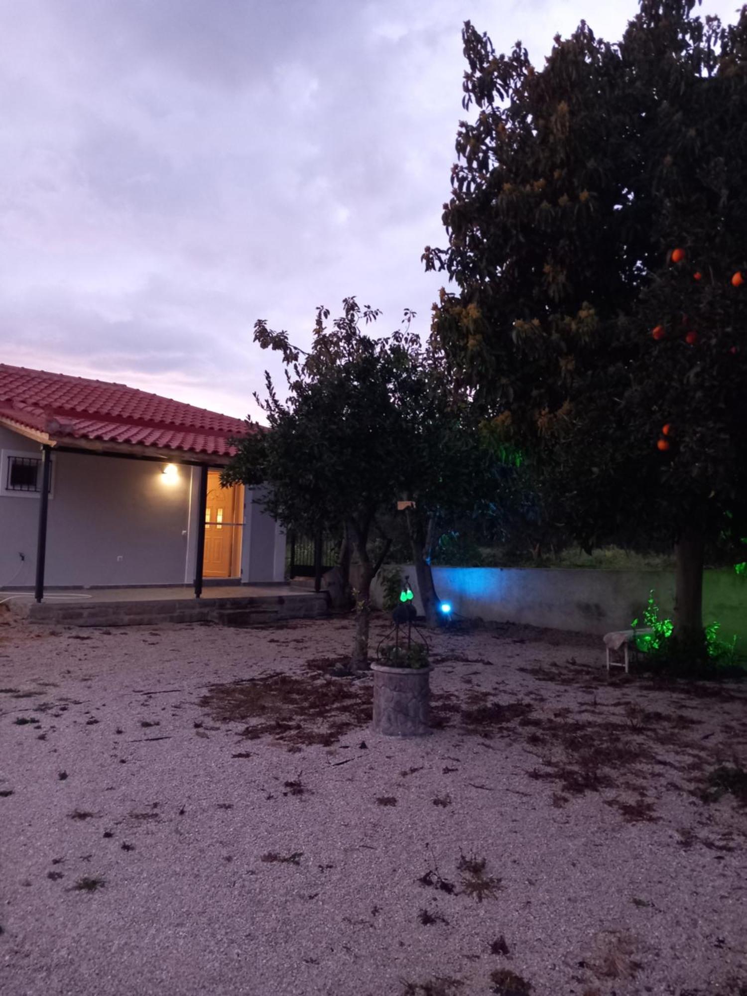 Avocado House Villa Finikounta Exteriör bild